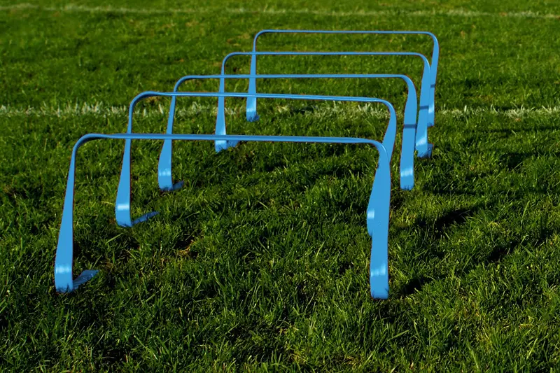 Confezione da 5 siepi flessibili - 30 cm