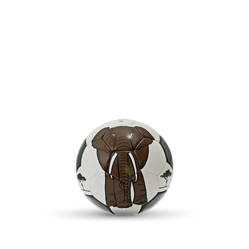 Fussball Elefant Sambia