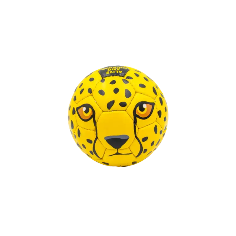 Fußball Gepard